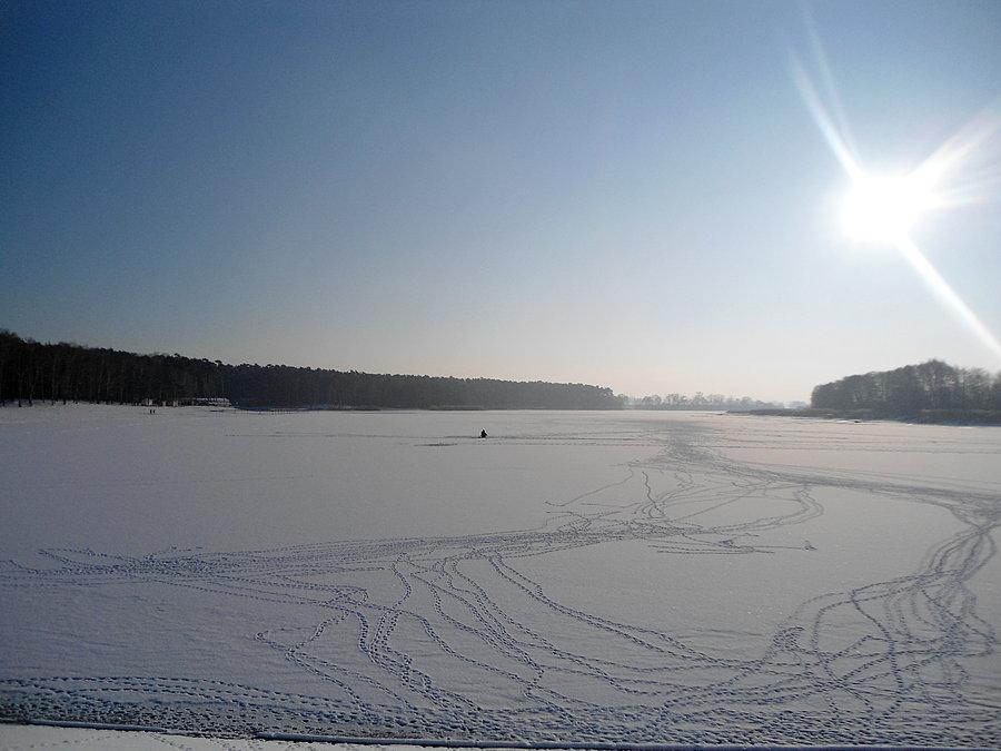 Jezioro w Gołuchowie