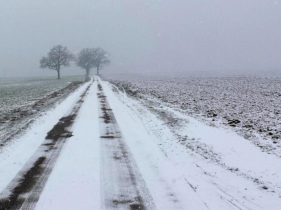 Droga do Koszewa z Dębicy