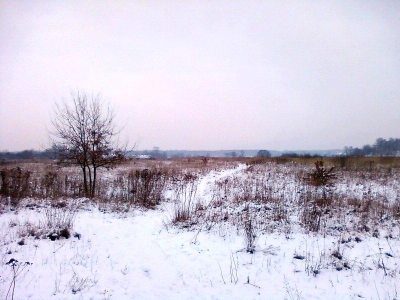 Ścieżka przez pole