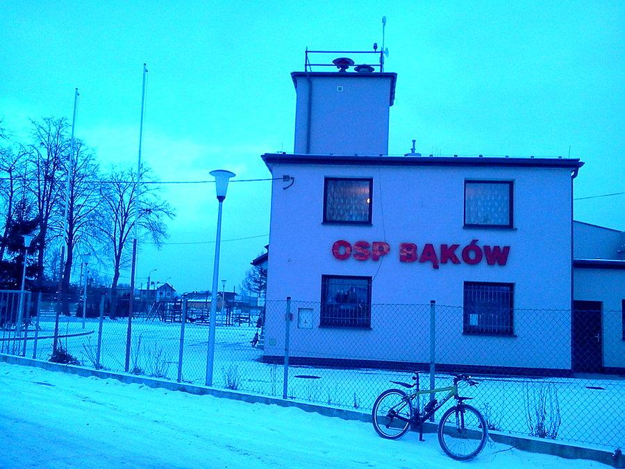 Bąków