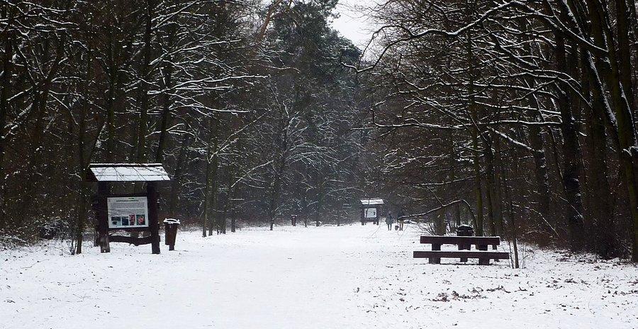 Park Młociński w Warszawie