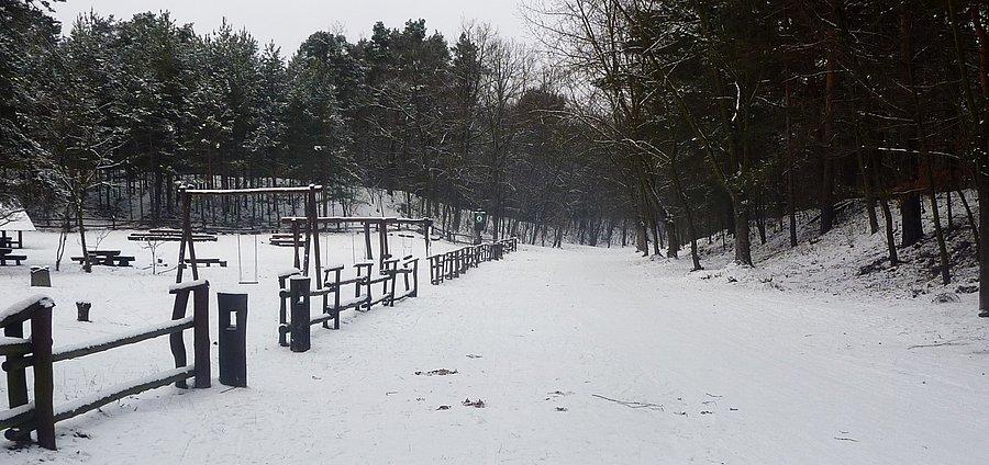 Pętla w Parku Młocińskim