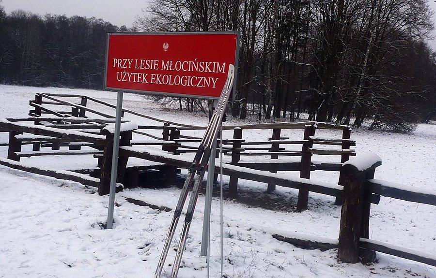Park Młociński