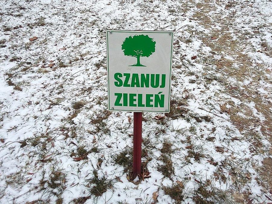 ...boś nie jeleń