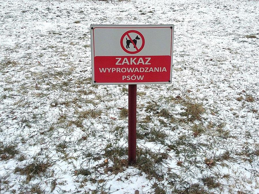 Ok. Będę wychodził z aligatorem
