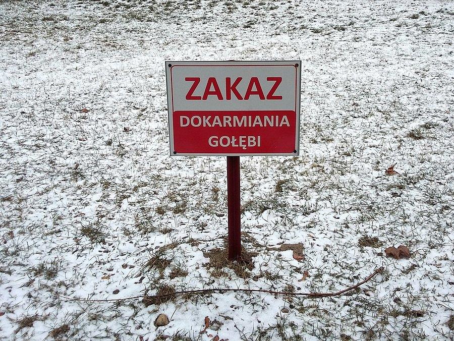 Z tym się zgardzam - zostawiają po posiłku kubki po Coli
