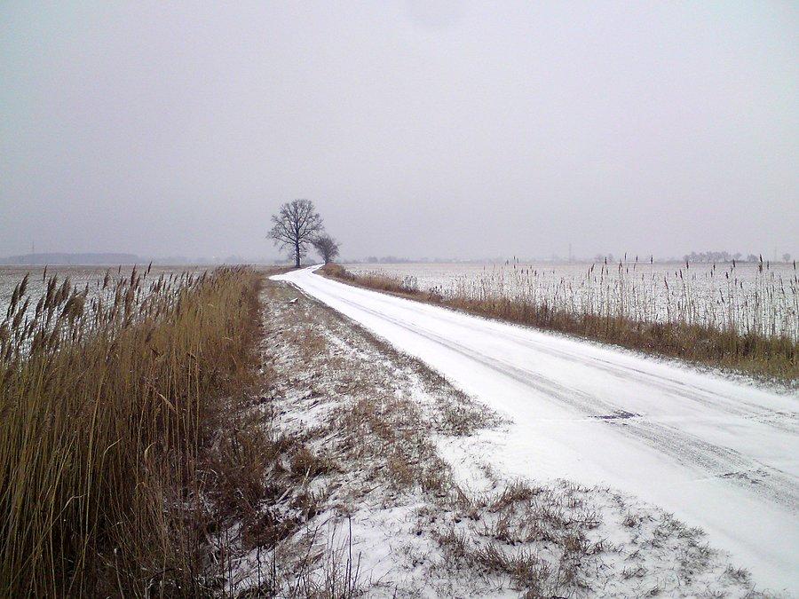 Na trasie z Pisarzowic do Piastowic