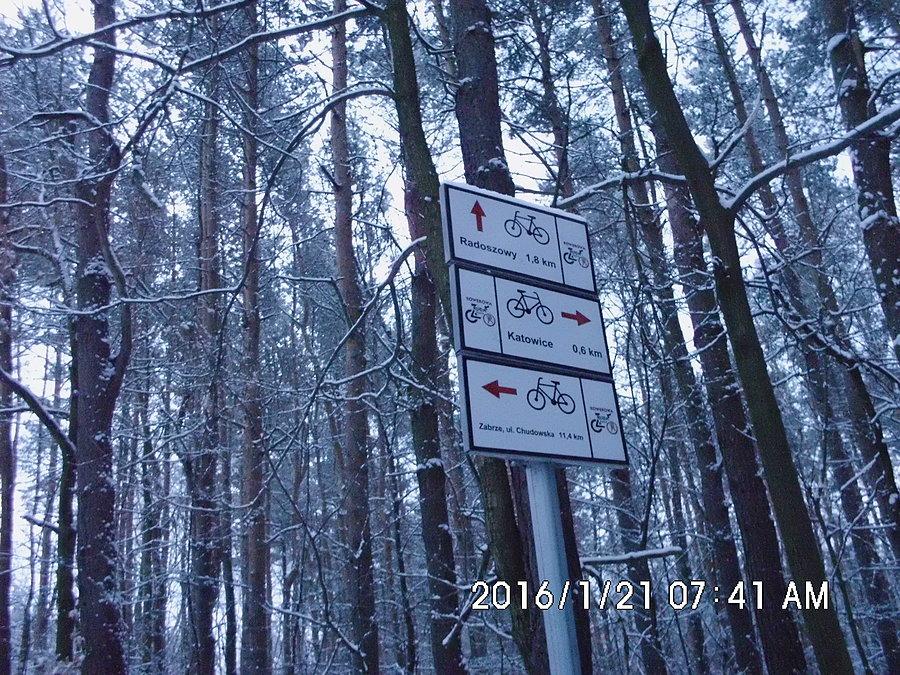 Na rozstaju dróg