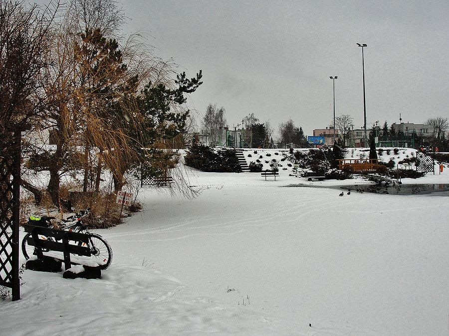 Okolice Tczewa - zima