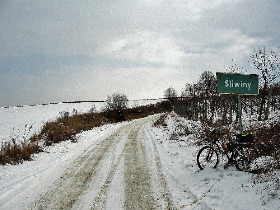 Okolice Tczewa - zima
