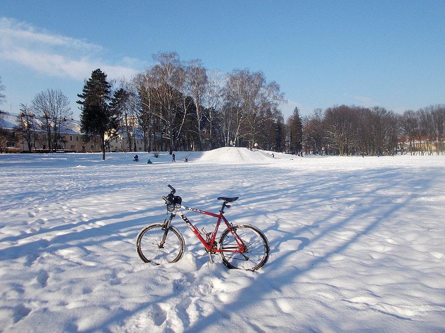 Zima w Parku Kajki