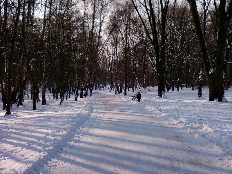Park Julianowski