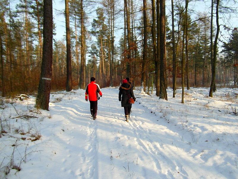 Zimowy spacer po Kociewiu