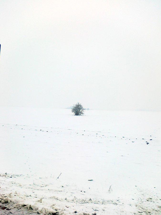 Biało