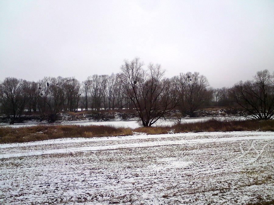 Odra i wyspa Prędocin