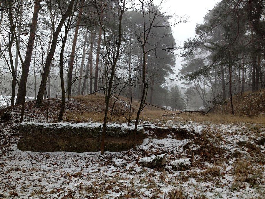 Stara strzelnica w okolicy Kuźnicy