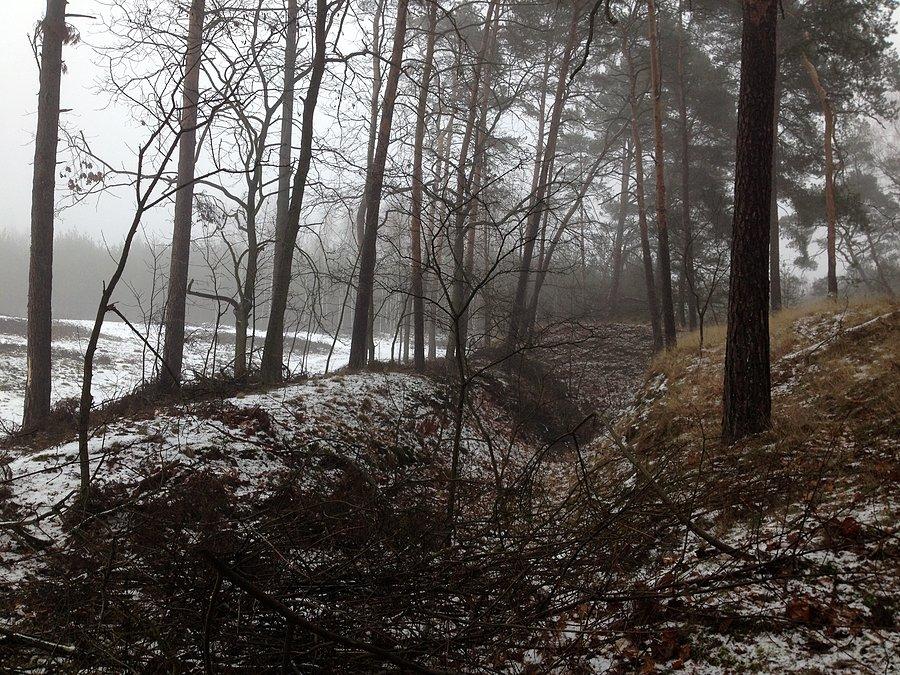 Strzelnica cd