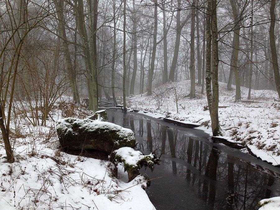 Rudnica w Kuźnicy Czarnkowskiej