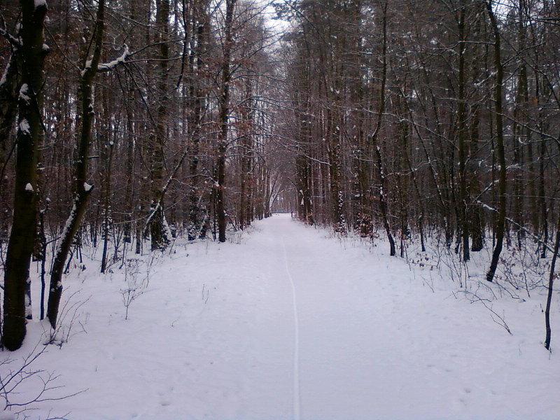 Ślad na śniegu