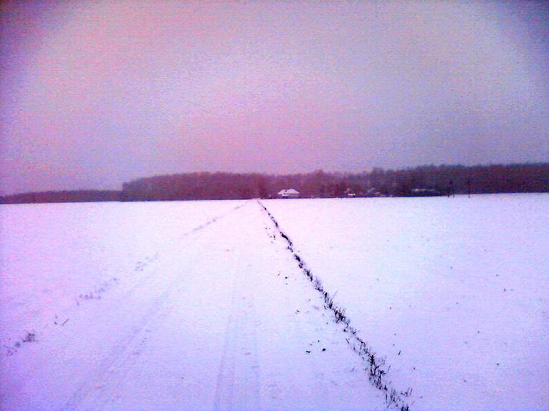 Białe pole