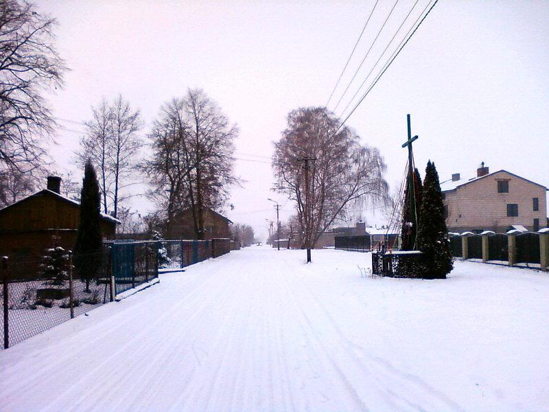 Brużyczka Mała