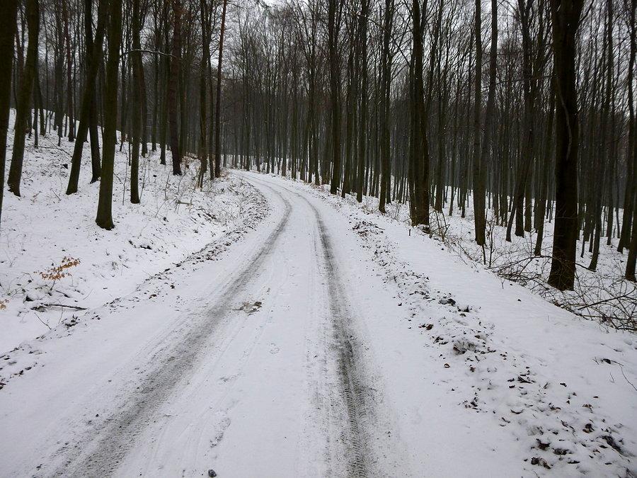Podjazd na Przylasek