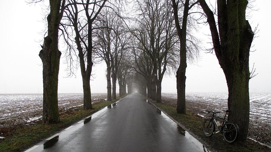 Szaro, mokro i mgliście