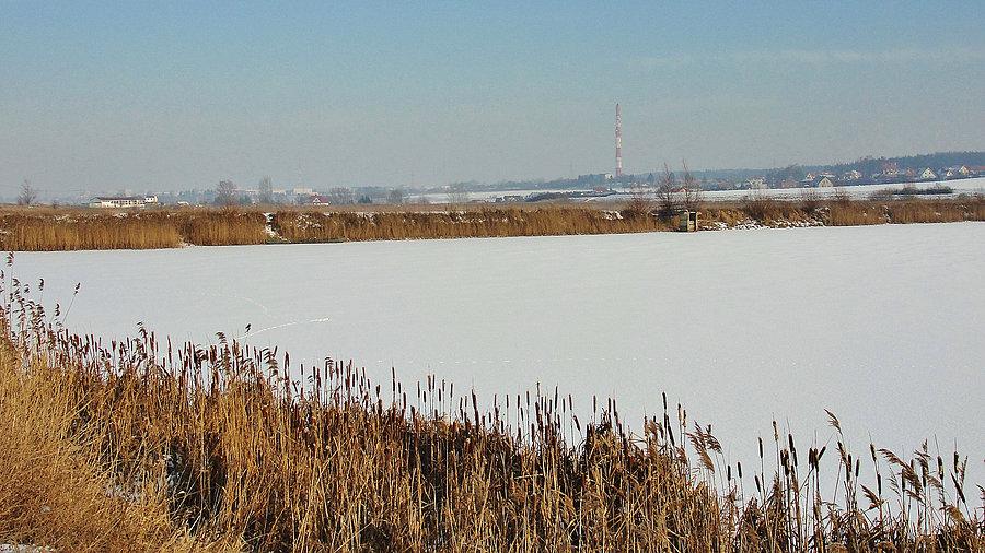 Okolice Tczewa - zima