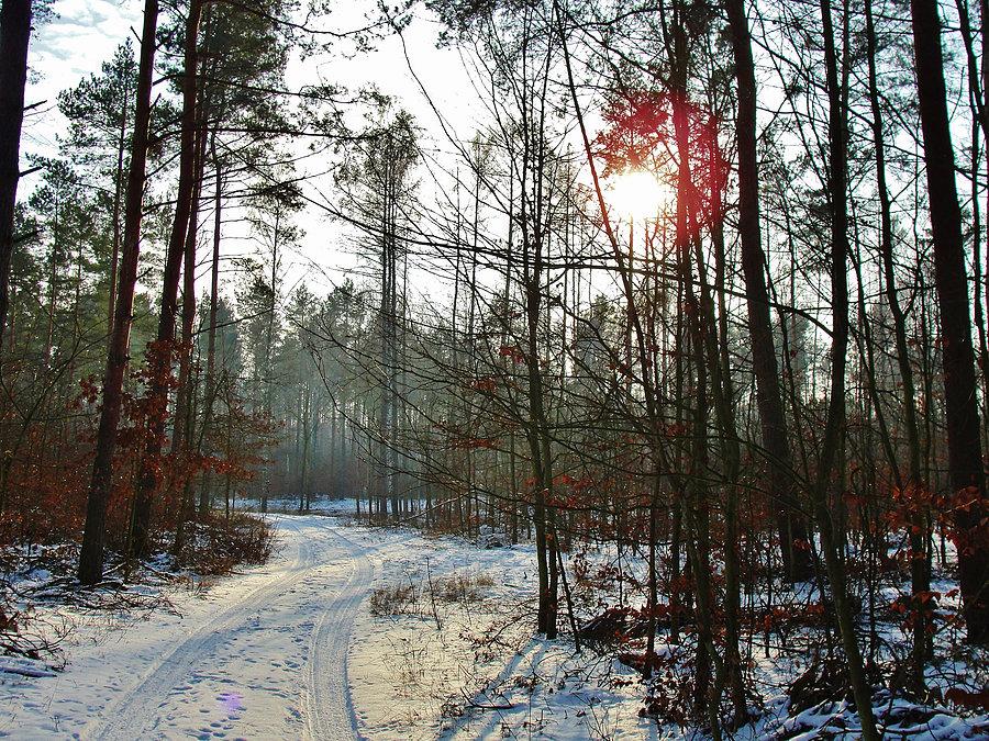 Okolice Tczewa - zima