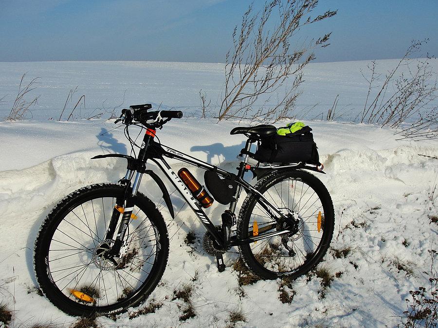 Okolice Tczewa - zima