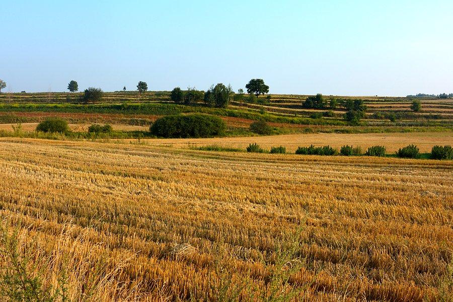 Roztoczański krajobraz
