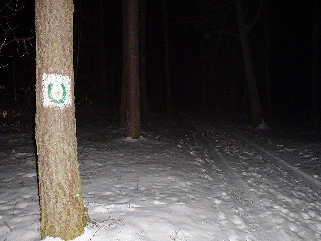 O tej porze na szczęście trudno o entuzjastów jazdy konnej