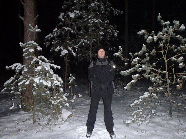 Las w nocy jest naprawdę piękny