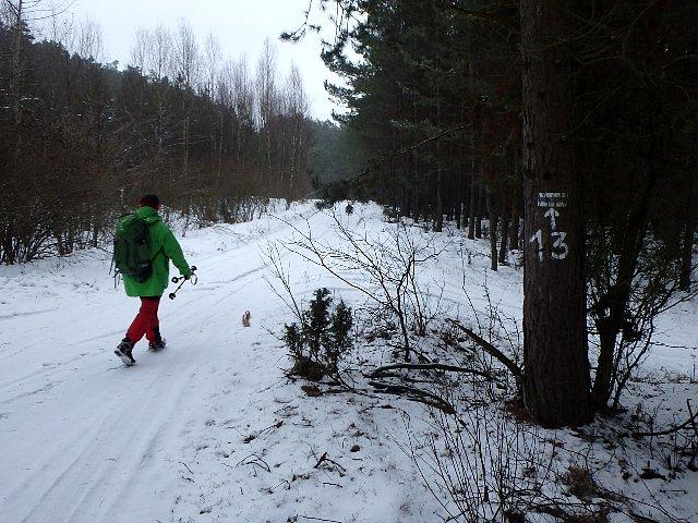 Kajetan nadał zabójcze tempo 6 km/h;)
