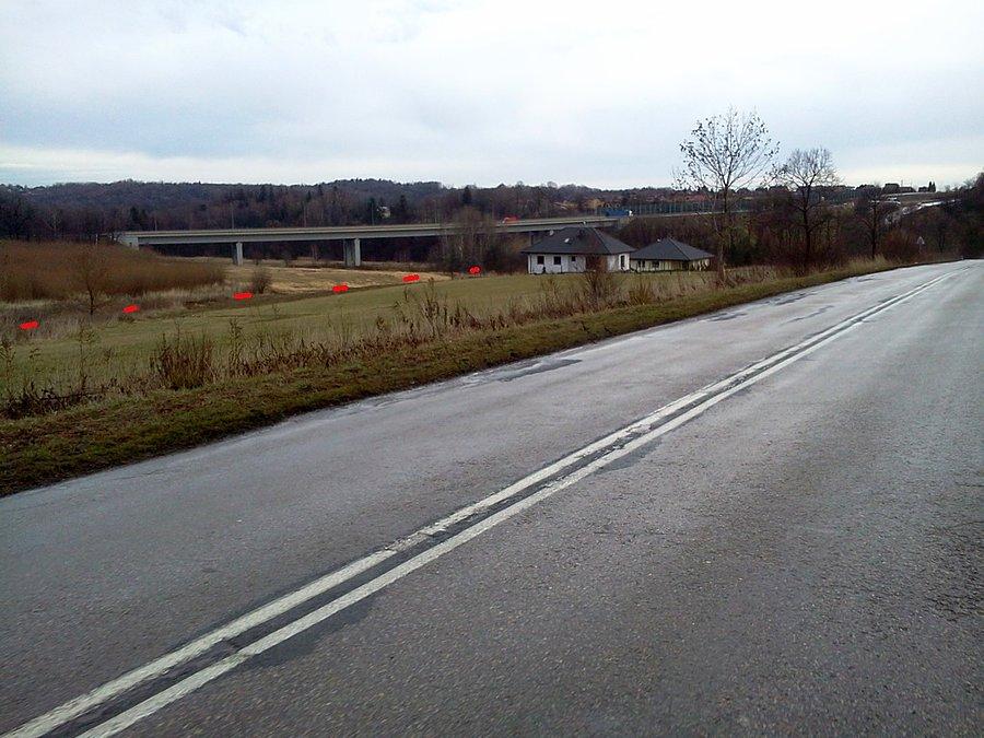 Swiętoszówka