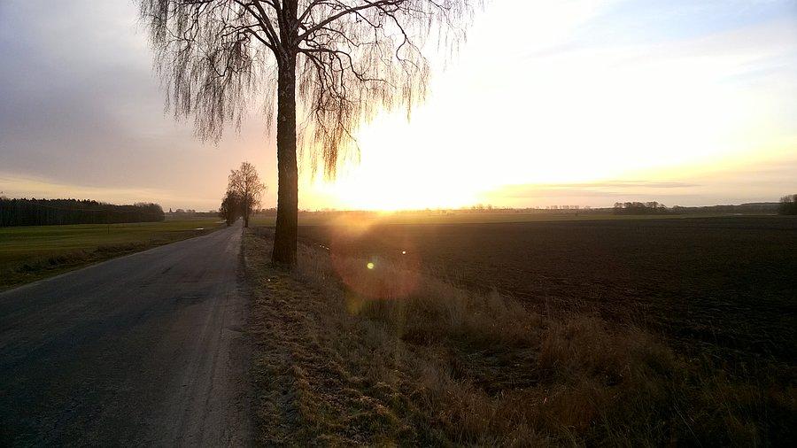 Świt
