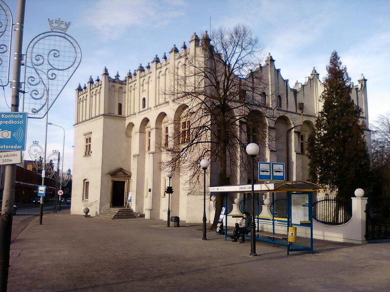 Zamek w Pabianicach