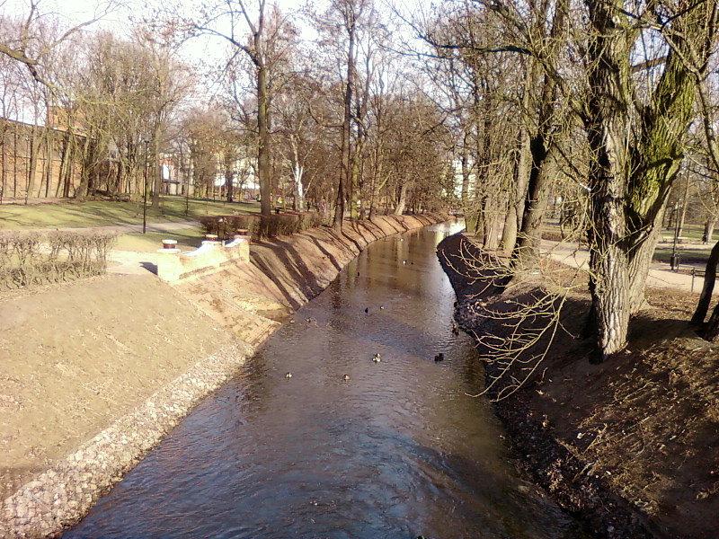 Dobrzynka w Pabianicach