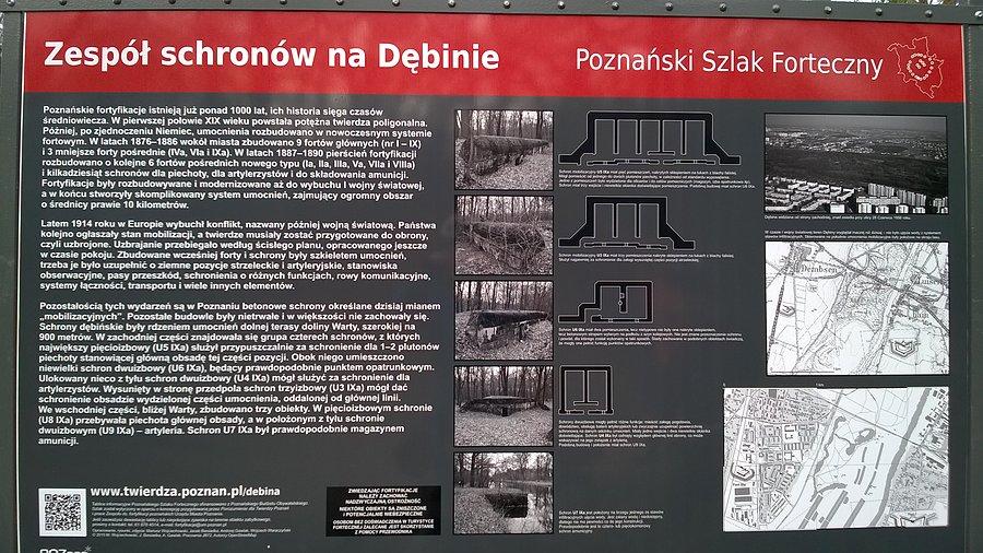 Zespół schronów na Dębinie