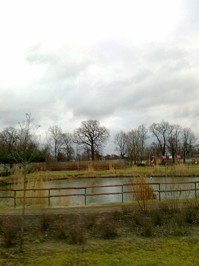 Staw w Borzęcinie