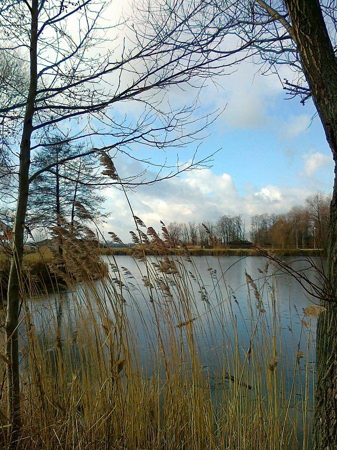Staw w słońcu