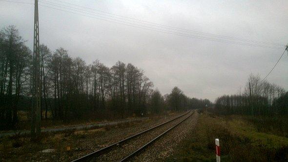 Tory w Krężnicy Jarej