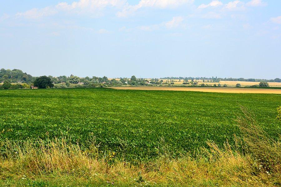 Wołyński krajobraz