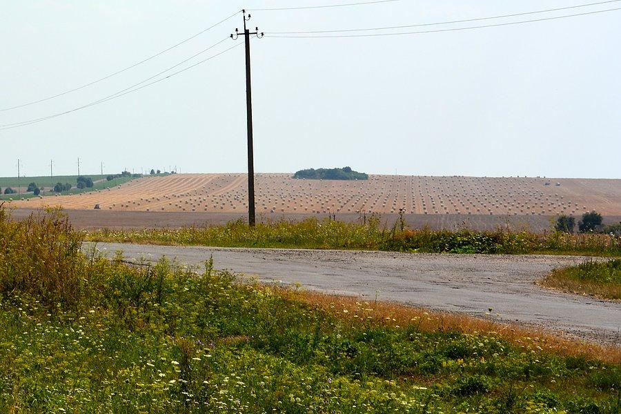 Wołyńskie żniwa