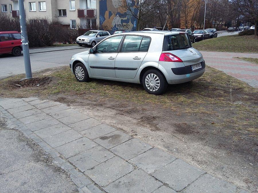 Mistrz parkowania II