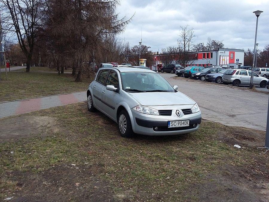 Mistrz parkowania I