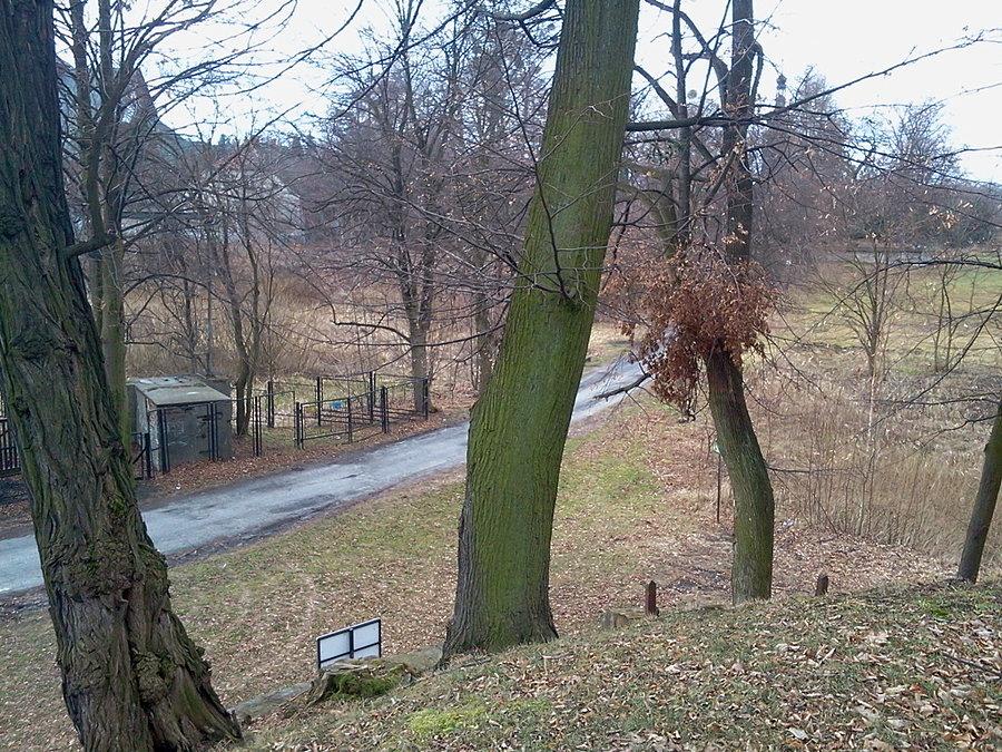 Widok z gródka