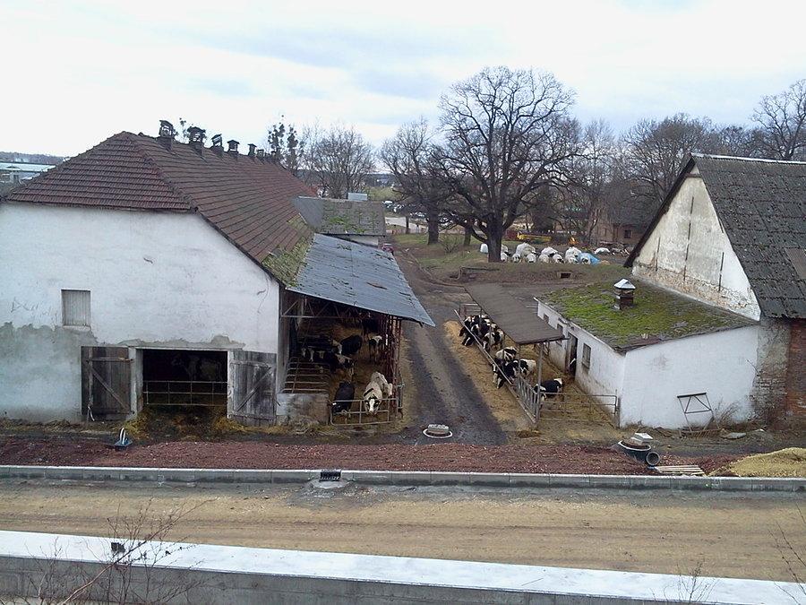 W dawnym dworze w Pawłowicach