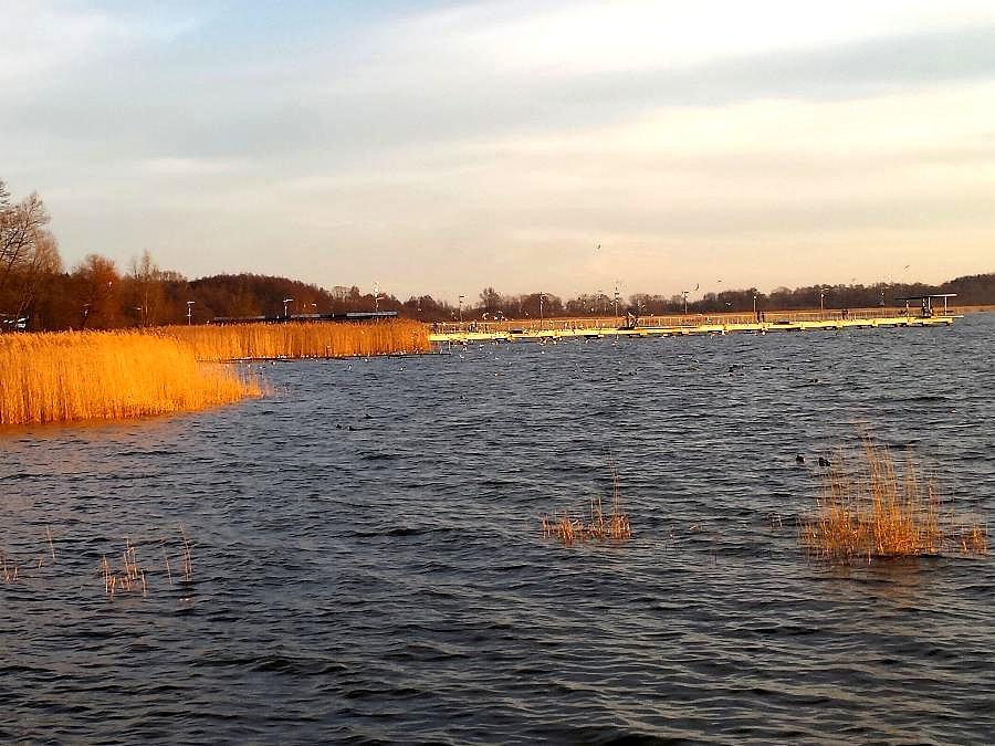Jezioro Miedwie w Zieleniewie