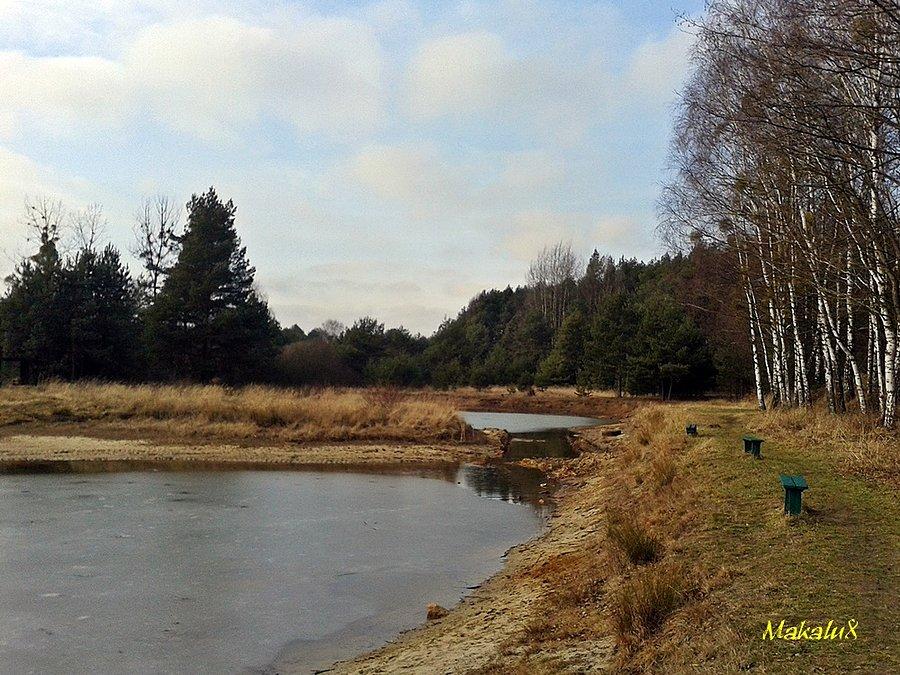 Wyschnięte stawy koło Żyglina_02_2016